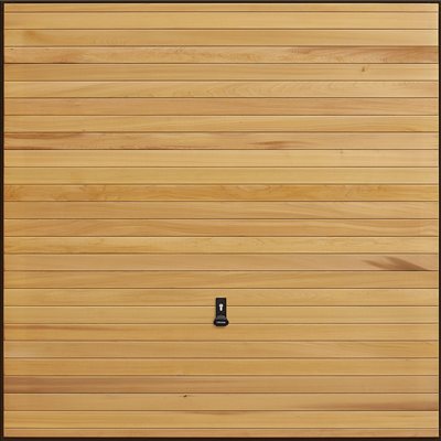 Door Image