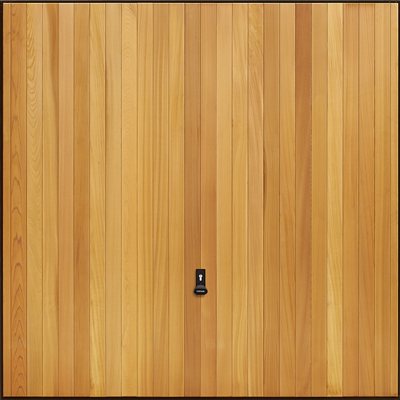 Door Image
