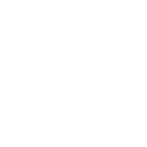 View window styles